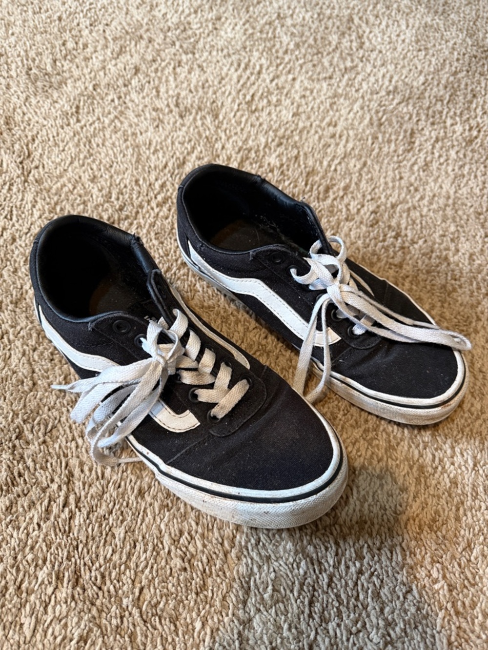 Vans Black and White Low-Top Skate Sneakers